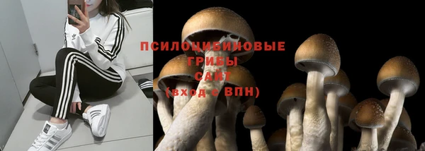 амф Наволоки