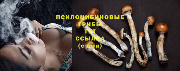 амф Наволоки