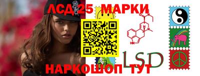 крисы Новокубанск