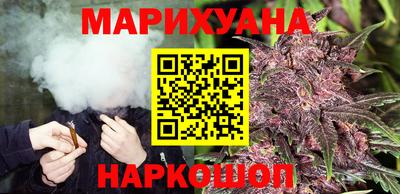 крисы Новокубанск