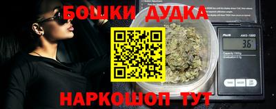 крисы Новокубанск