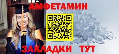 крисы Новокубанск
