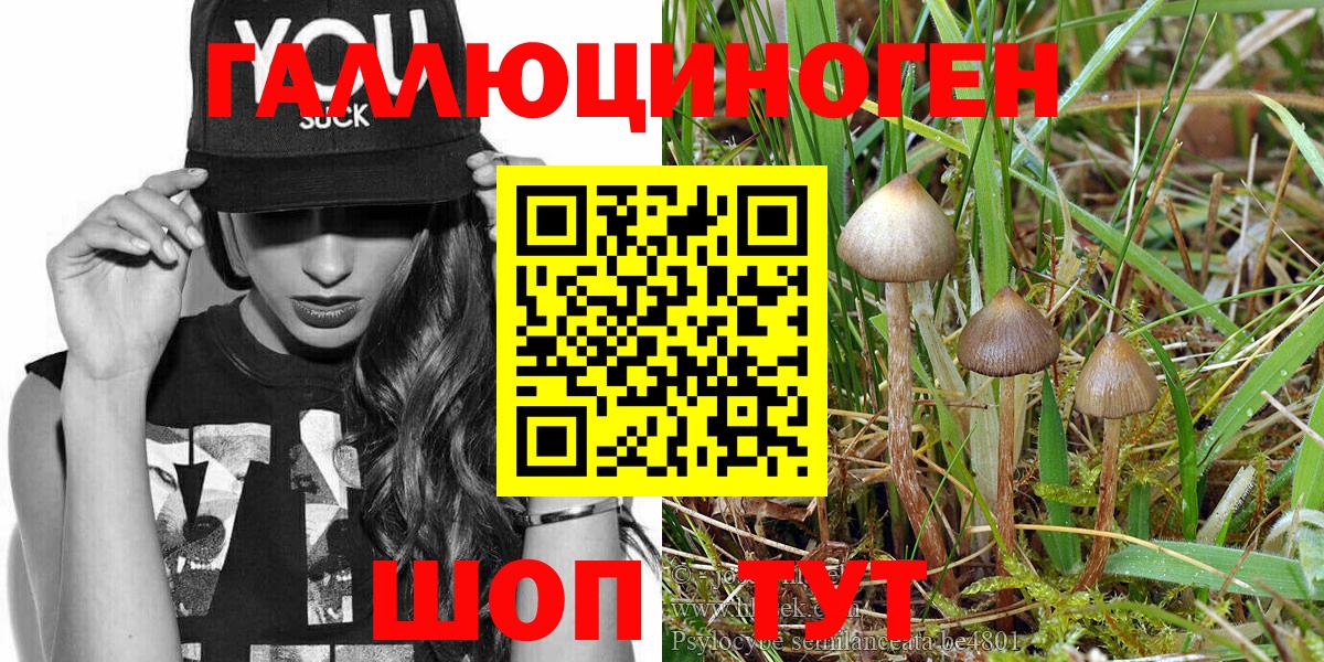 Галлюциногенные грибы Magic Shrooms Сокол